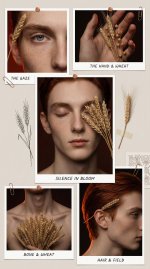 Коллаж 2.jpg Коллаж 2.jpg